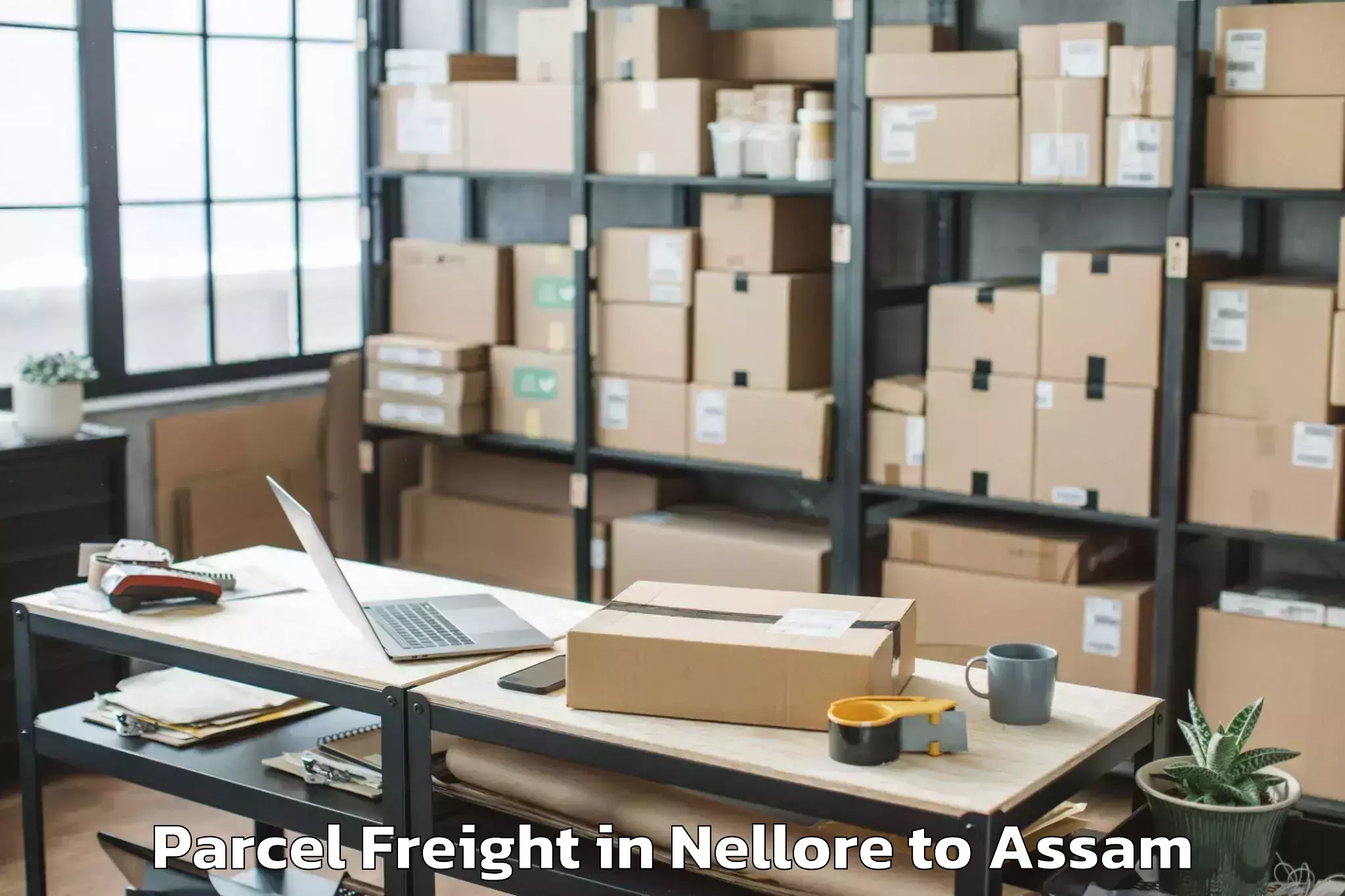 Reliable Nellore to Marigaon Parcel Freight